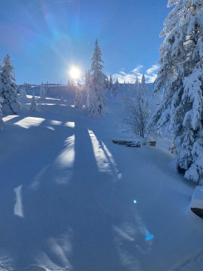 Olimpik House Jahorina Villa Luaran gambar